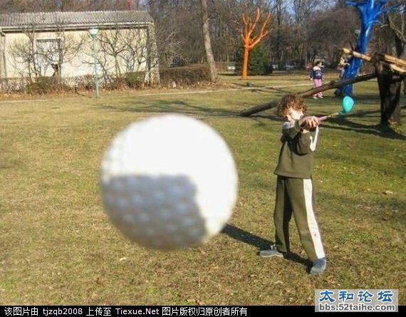 13348703.jpg