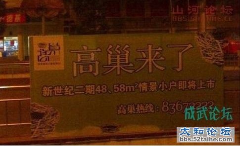 高巢来了3.jpg
