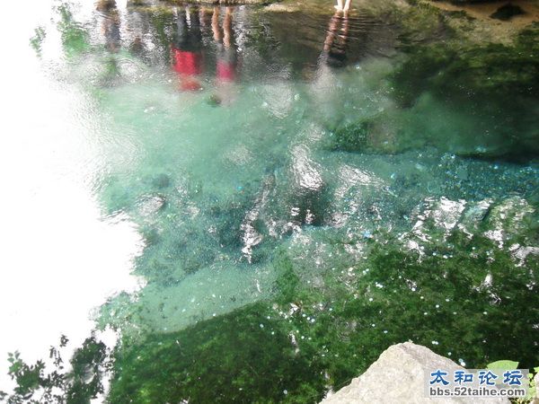 珍珠泉泉水.JPG