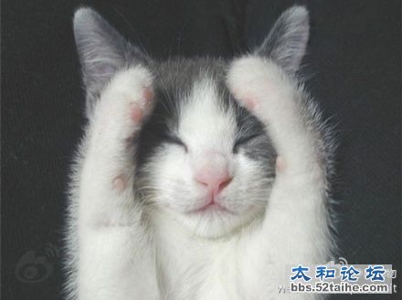 做眼保健操时间 1234 2234.jpg