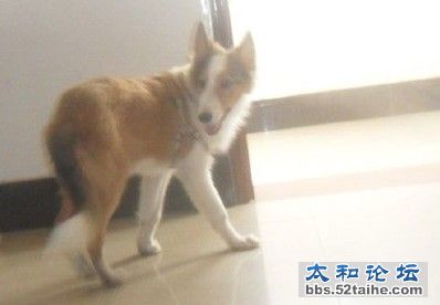 QQ截图20110831175504.jpg