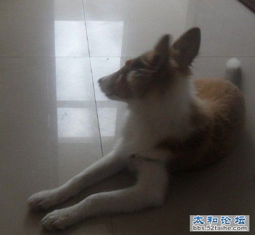 QQ截图20110831175517.jpg