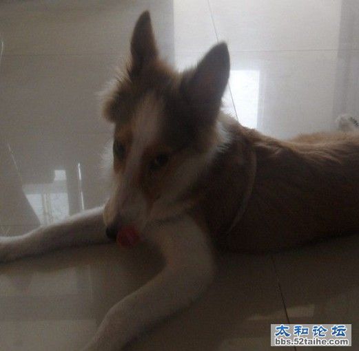 QQ截图20110831175527.jpg