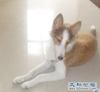 QQ截图20110831175535.jpg