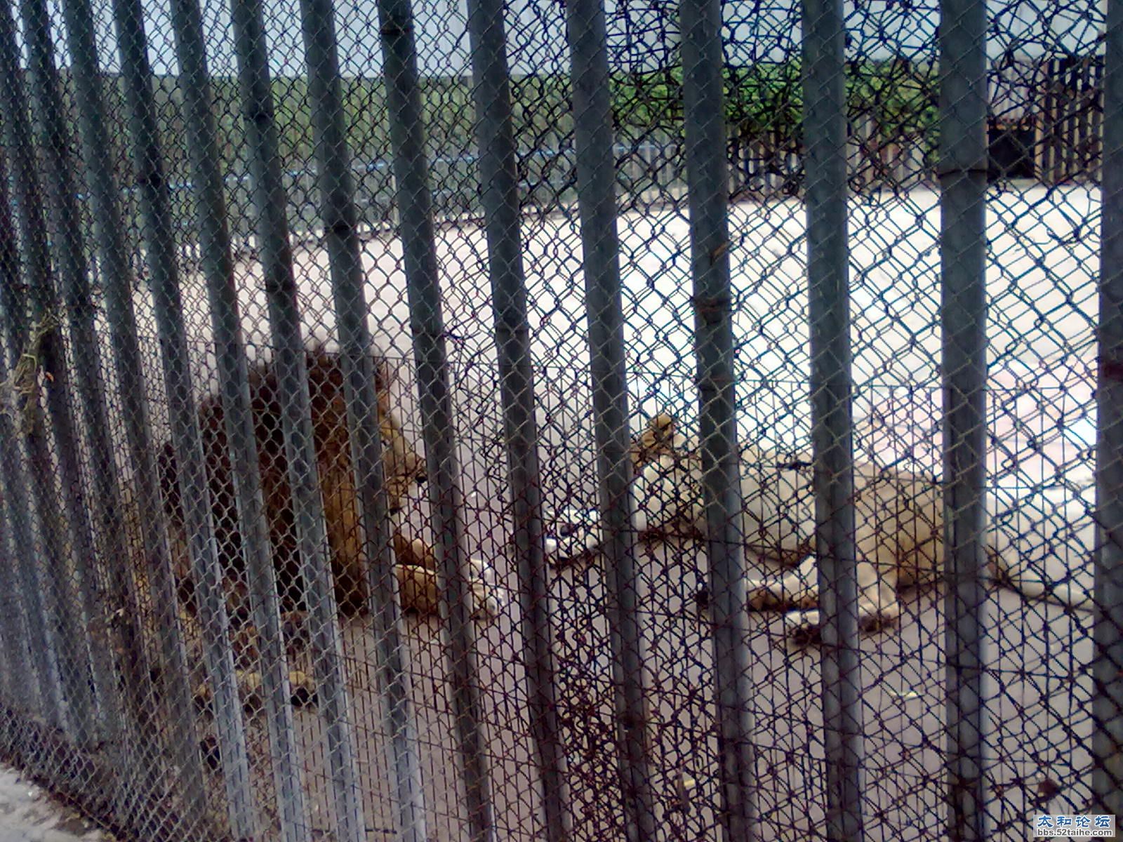 20110830127.jpg