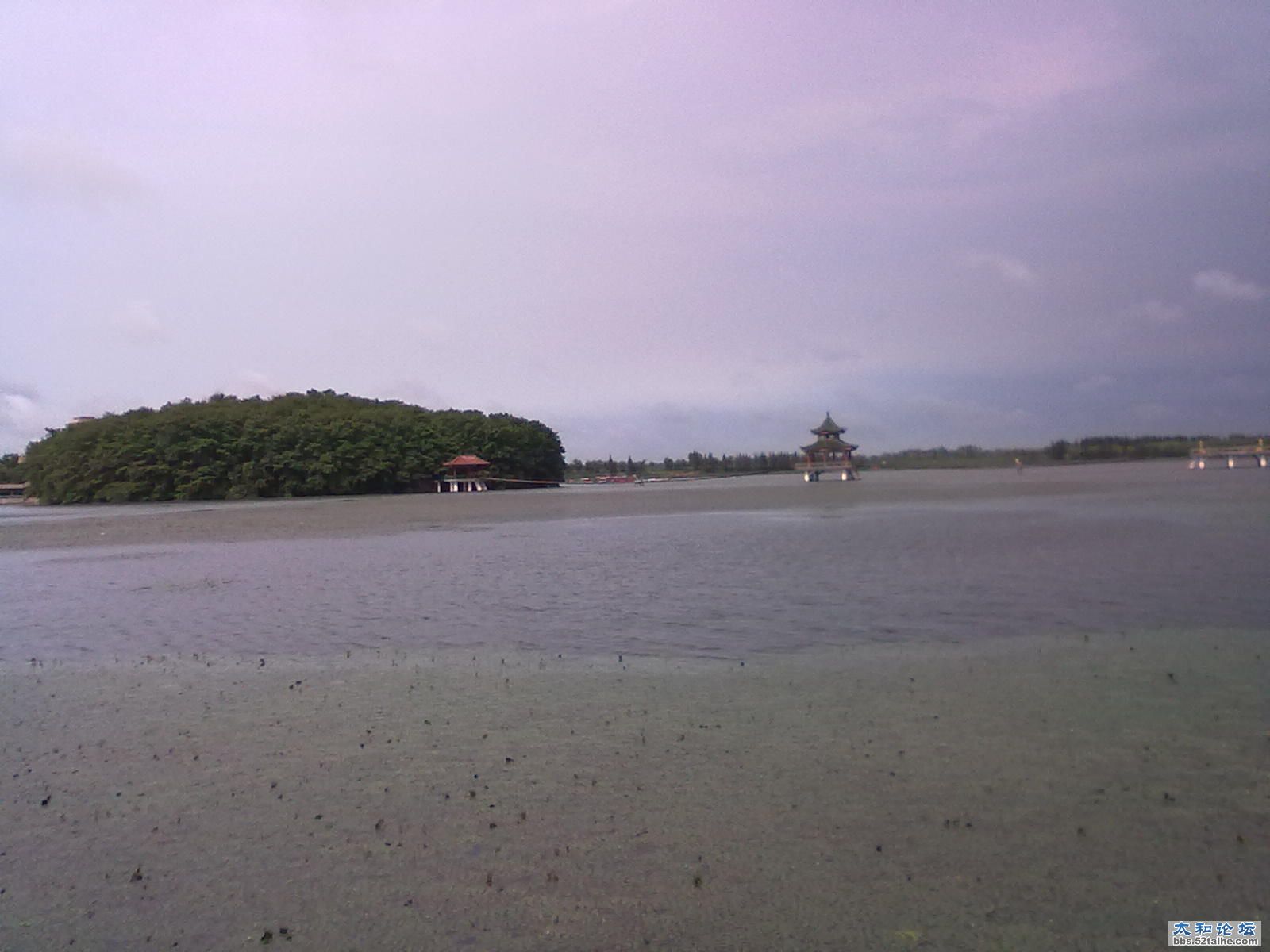 20110830128.jpg