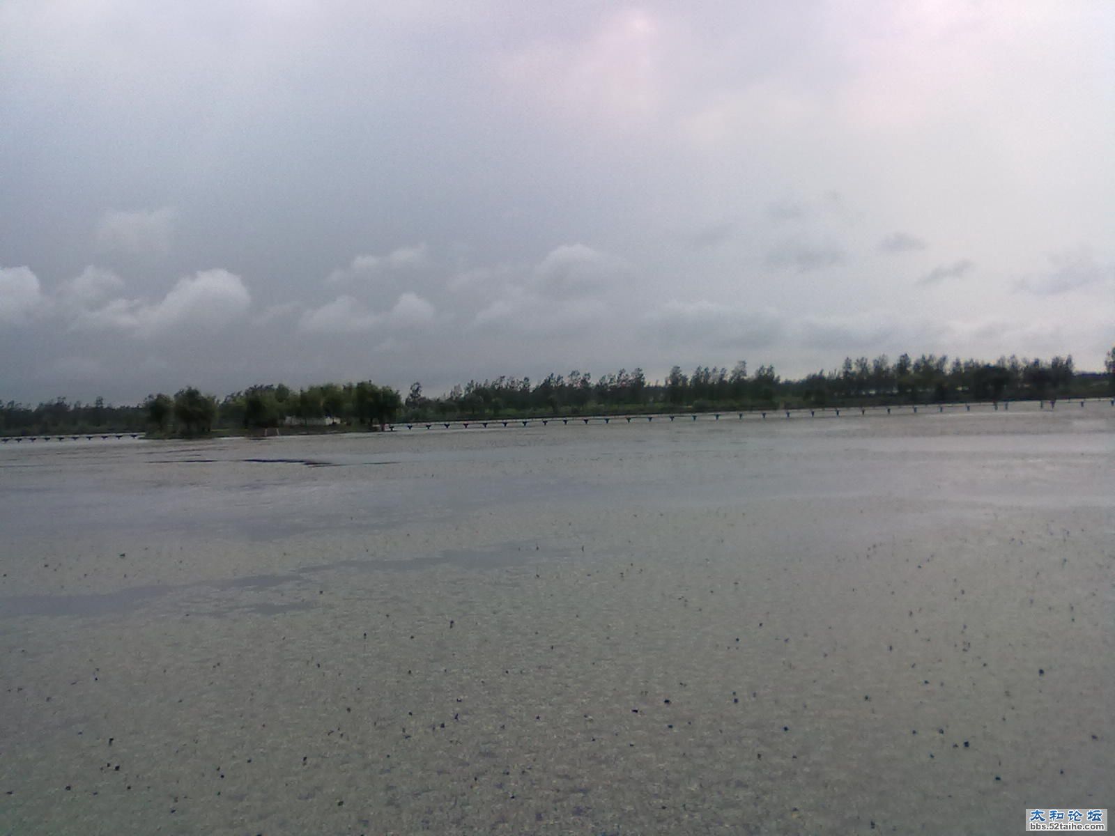 20110830129.jpg