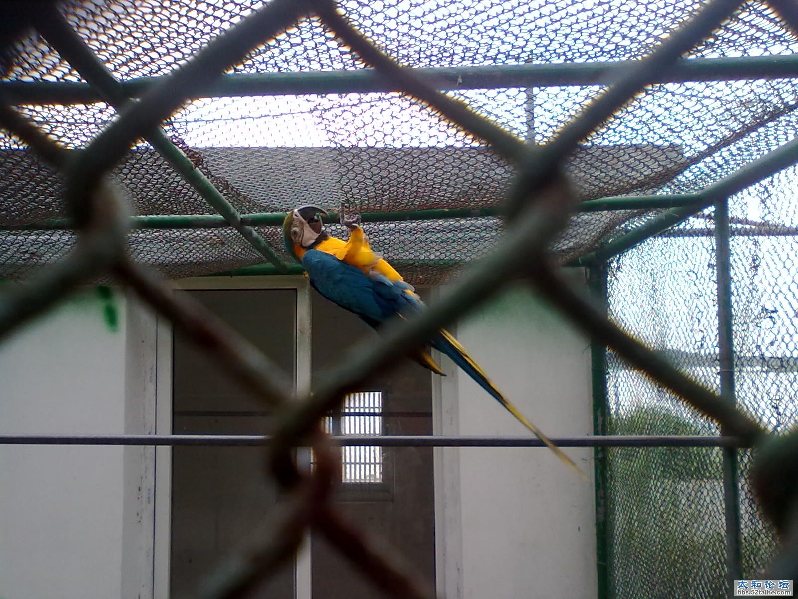 20110830133.jpg