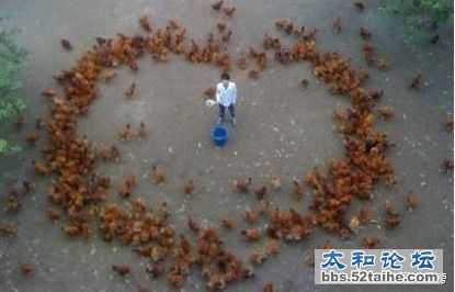 为了爱.jpg