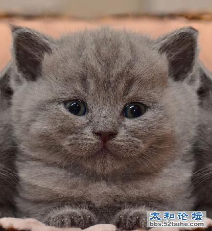QQ截图20120606174518.png