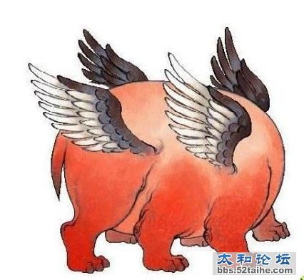 混沌.jpg