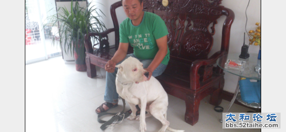QQ截图20121003194605.png