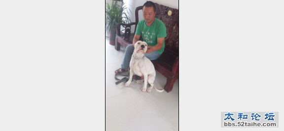 QQ截图20121003194638.png
