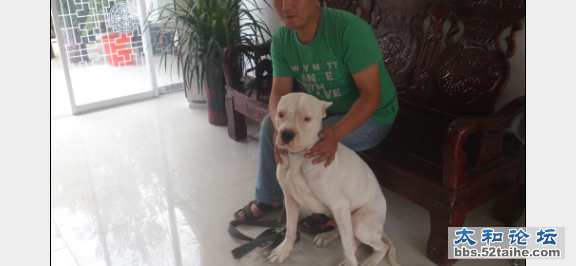 QQ截图20121003194648.png