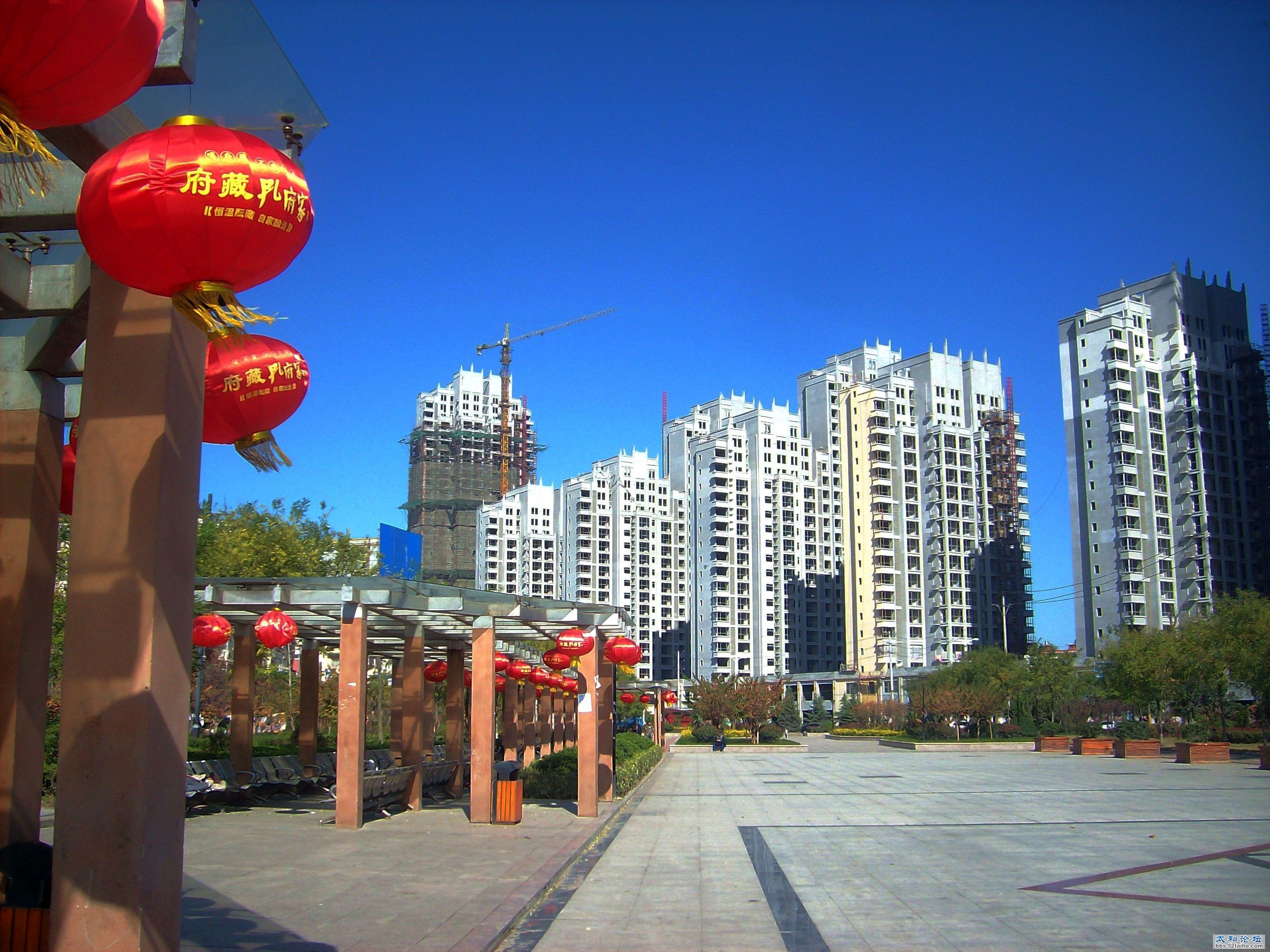 IMG04534.jpg