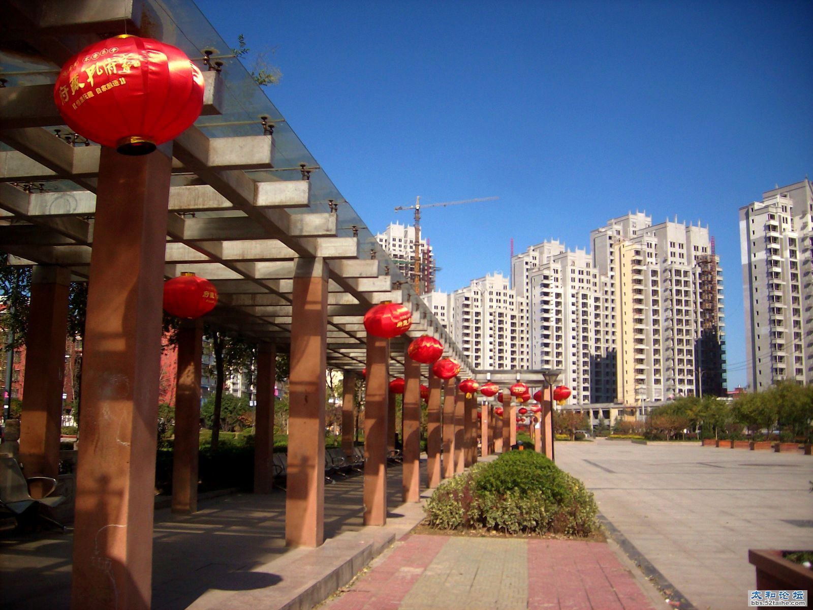 IMG04546.jpg