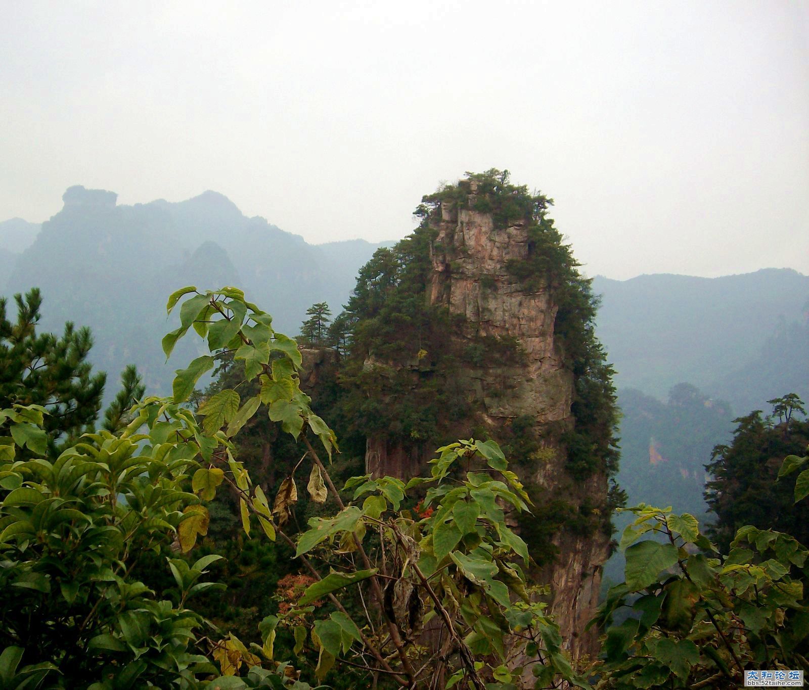 IMG04076.JPG