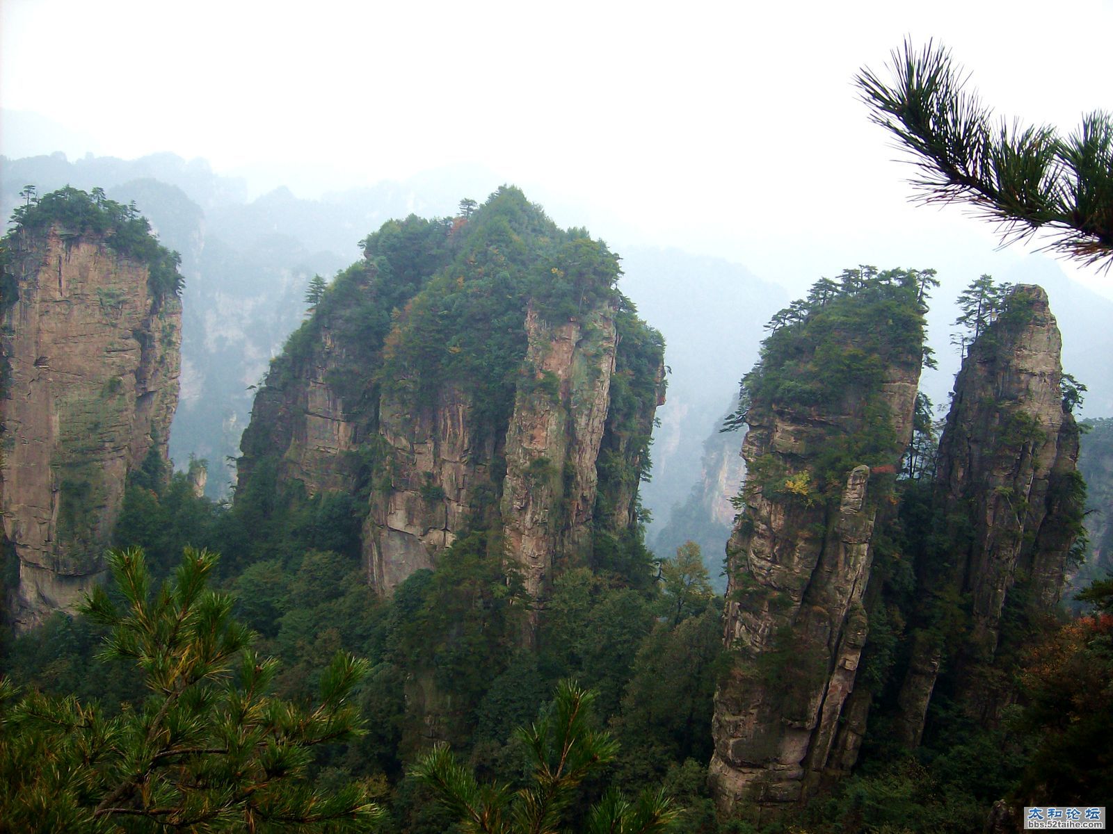 IMG04094.JPG