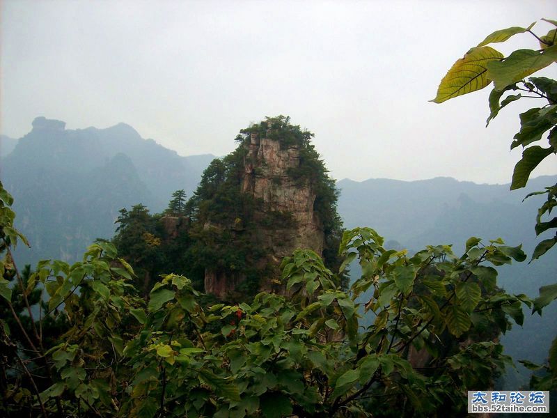IMG04077.JPG