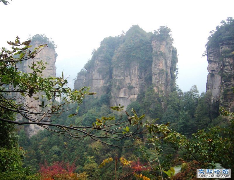 IMG04118.JPG