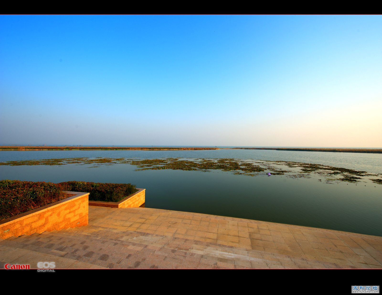 DSC_7607.jpg