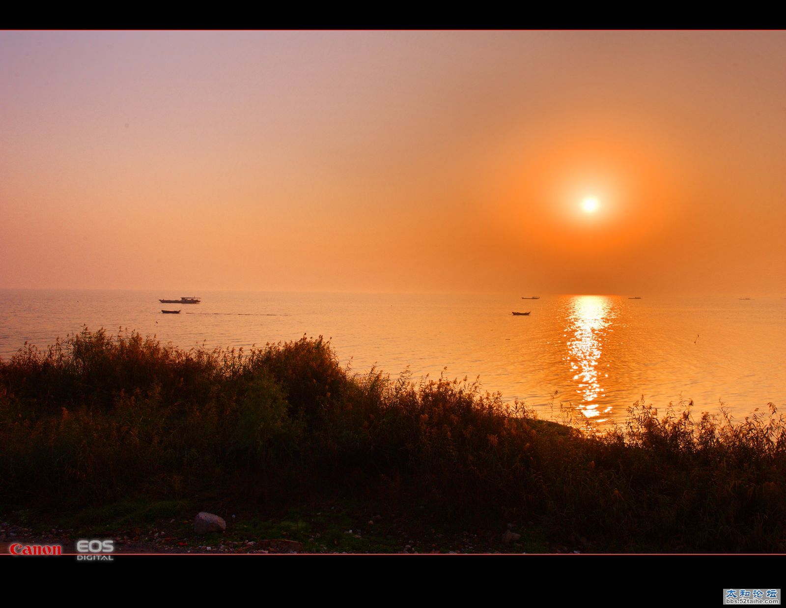 DSC_7612.jpg