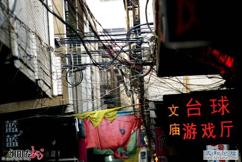 细阳券龙--太和小街巷风情6.jpg