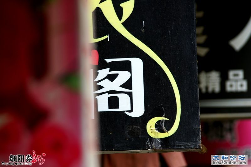 细阳券龙--太和小街巷风情22.jpg