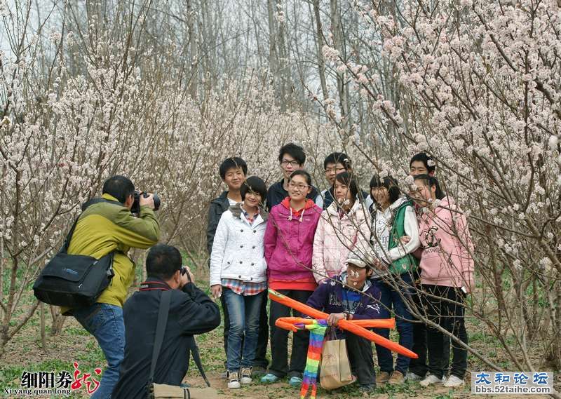 细阳券龙--让青春飞2.jpg