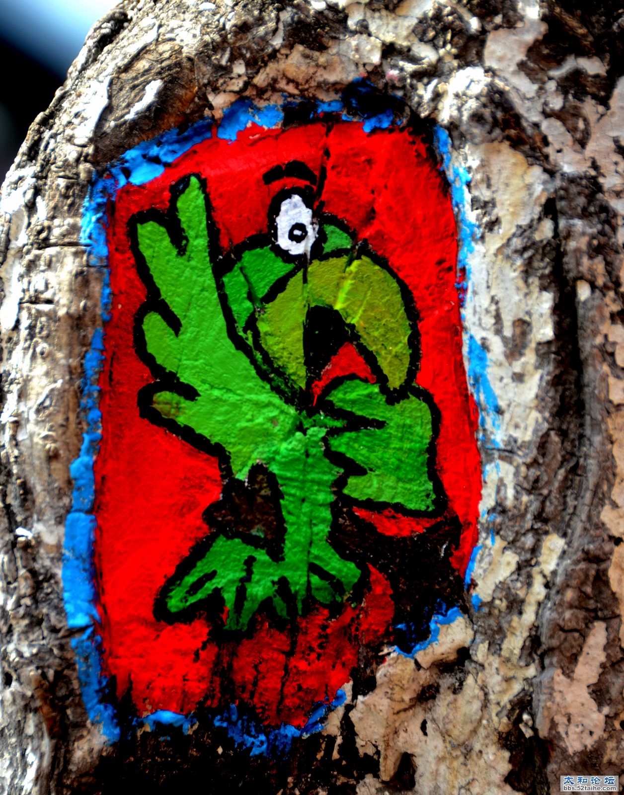 DSC_0461 000.jpg
