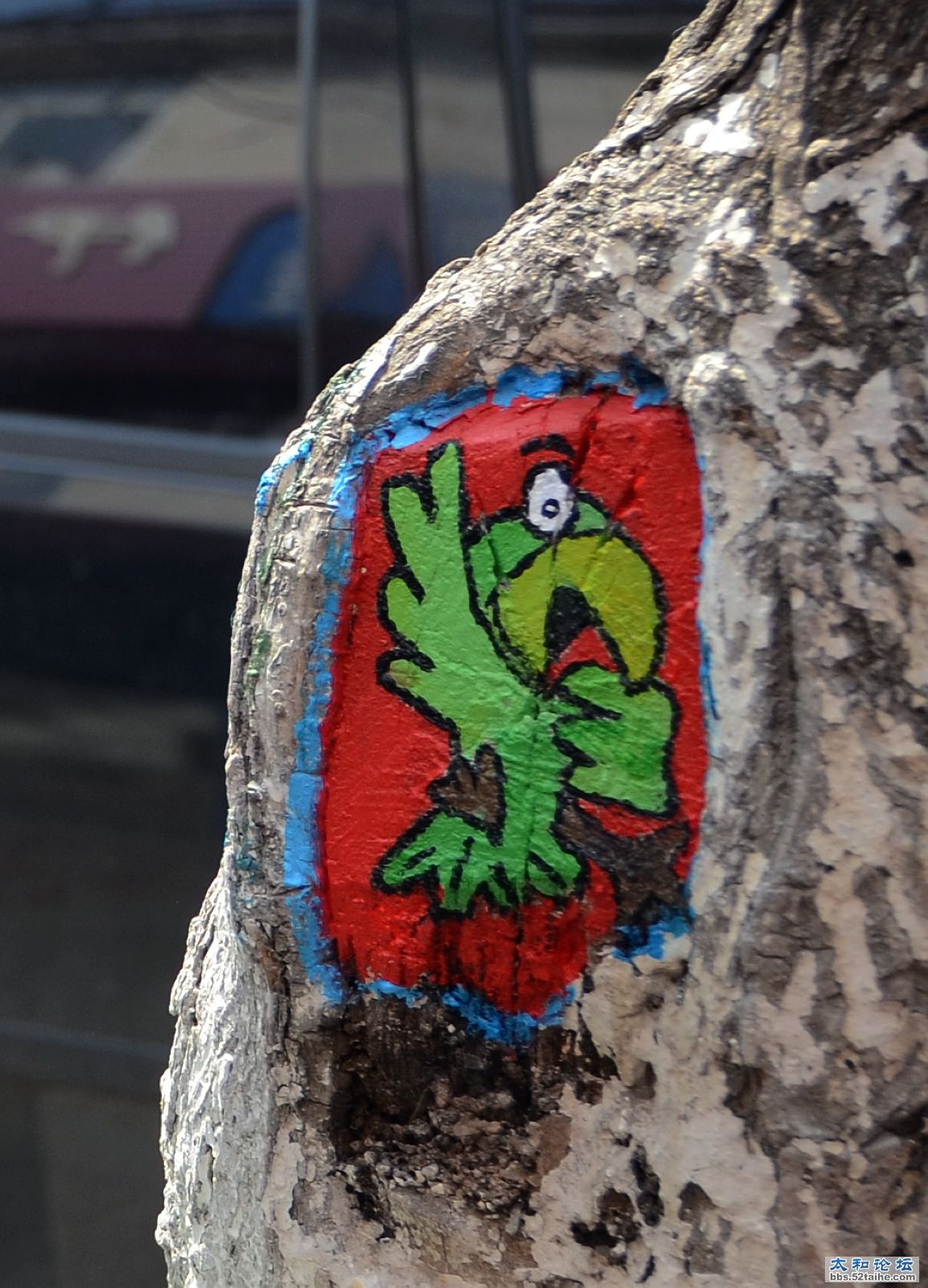 DSC_0478 000.jpg