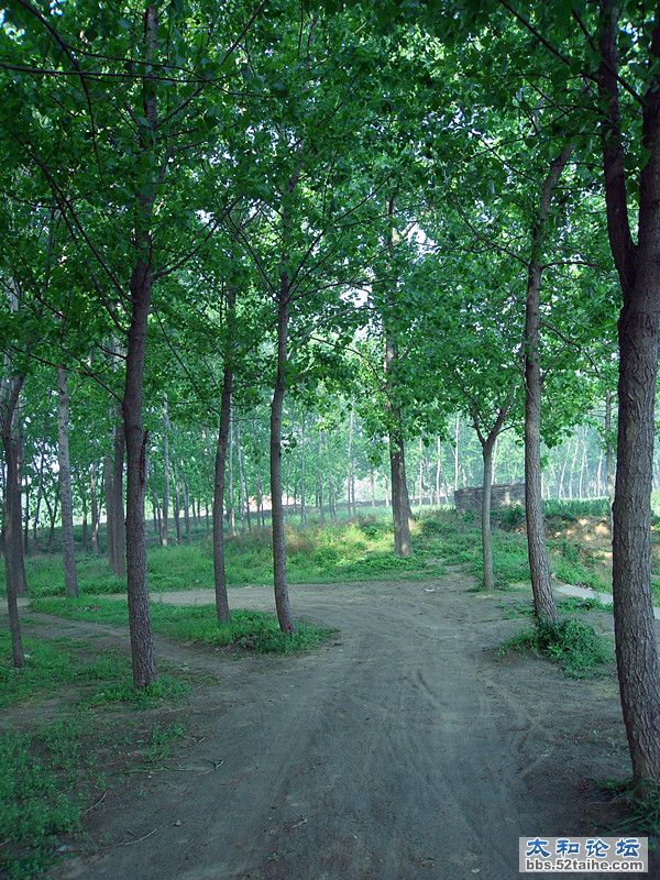 SDC12323_副本.jpg