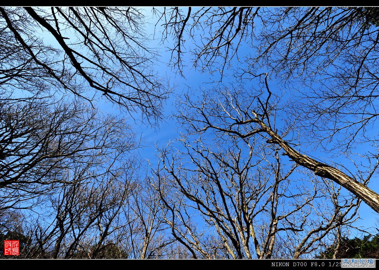 DSC_4993.JPG