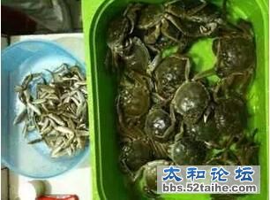 QQ截图20150915213535.jpg