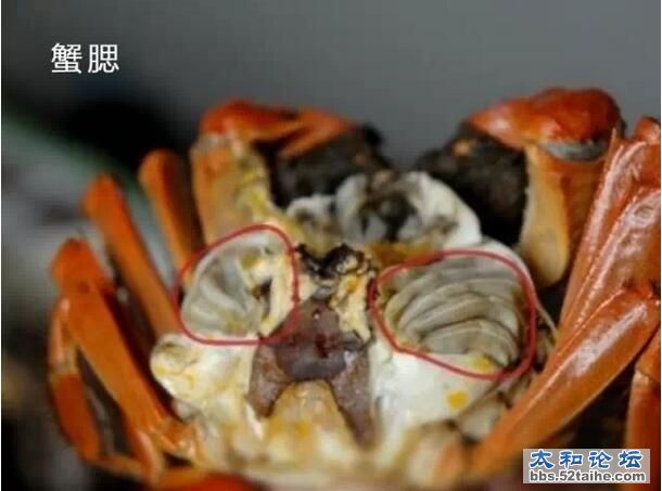 QQ截图20150915213640.jpg