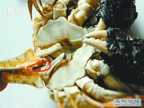 QQ截图20150915213648.jpg