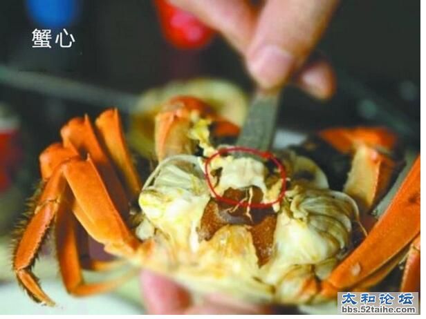 QQ截图20150915213702.jpg