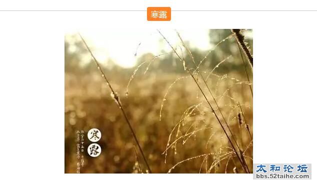 QQ截图20151007162655.jpg