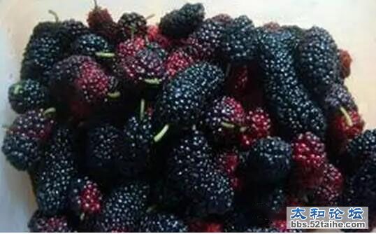 QQ截图20151007160916.jpg