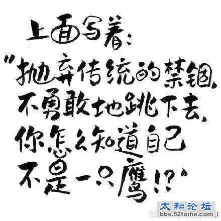 db21f531gw1eyfwe2tanzj20c80c8dg9.jpg