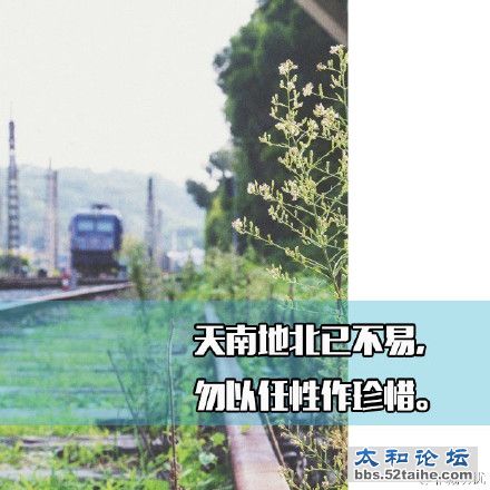 66214c2cgw1eyivjahhs9j20h80h8jts.jpg