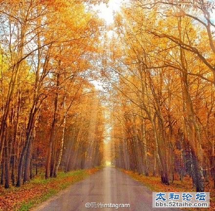 b558cbf0gw1eyjvqfr251j20ku0kigub.jpg
