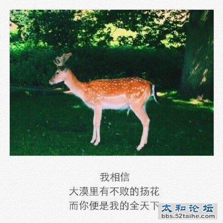 006bzQuUgw1eyj5vm24zmj30c80c8taq.jpg