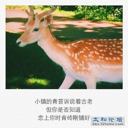 006bzQuUgw1eyj5vp9smqj30c80c840f.jpg