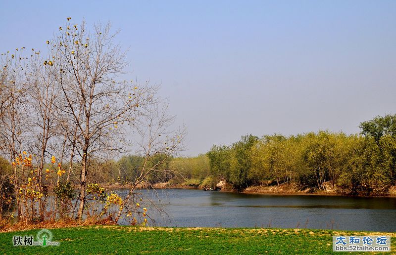 DSC_5452.jpg