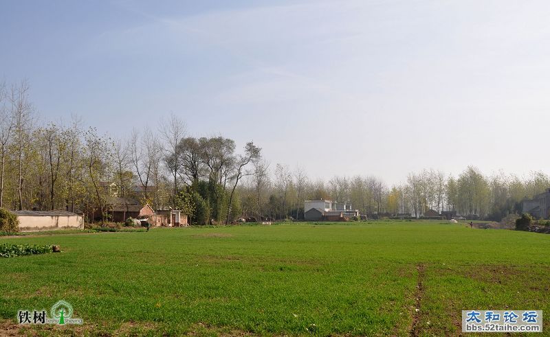 DSC_5386.jpg