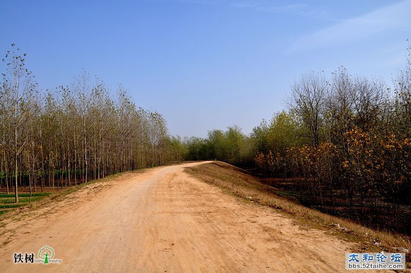 DSC_5397.jpg