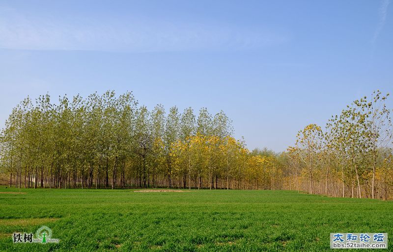 DSC_5424.jpg