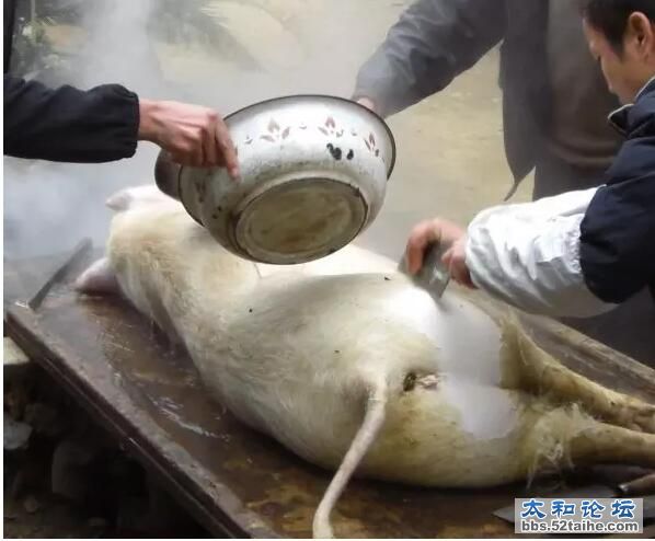 QQ截图20160108110009.jpg