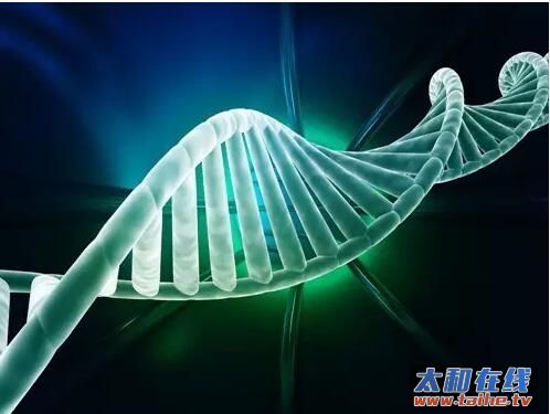 QQ截图20160415112526.jpg